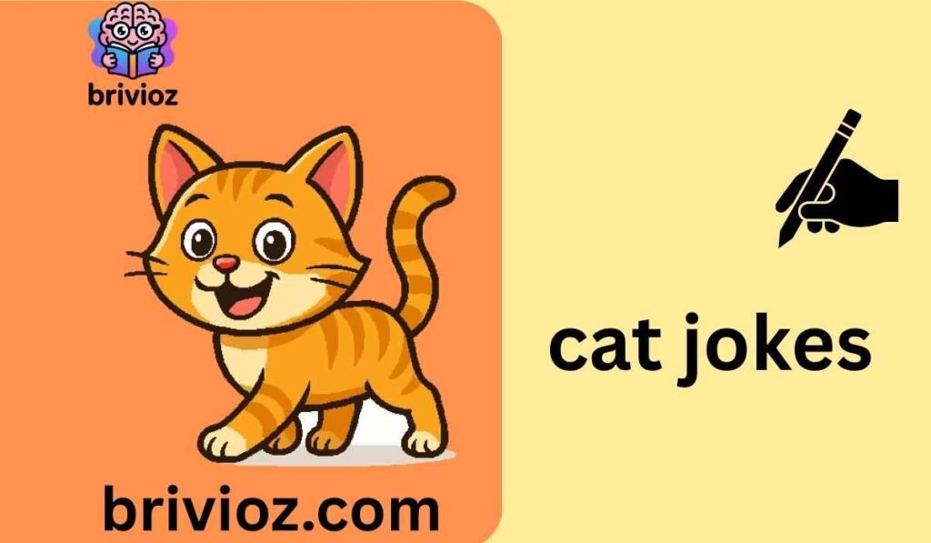 cat jokes